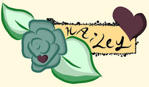 Meet your Posher, Hailey